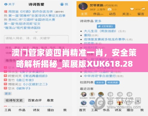 澳门管家婆四肖精准一肖，安全策略解析揭秘_策展版XUK618.28