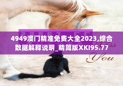 4949澳门精准免费大全2023,综合数据解释说明_精简版XKI95.77