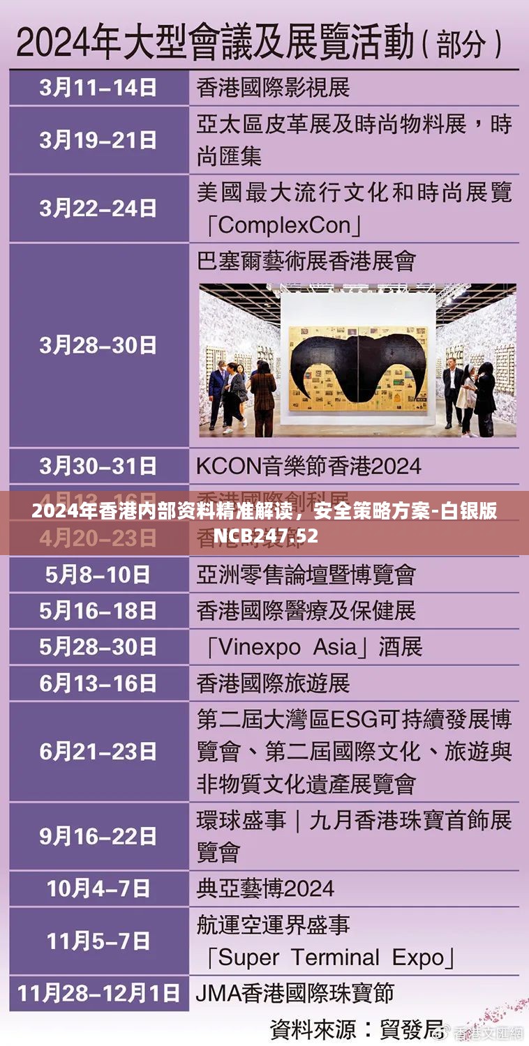 2024年香港内部资料精准解读，安全策略方案-白银版NCB247.52