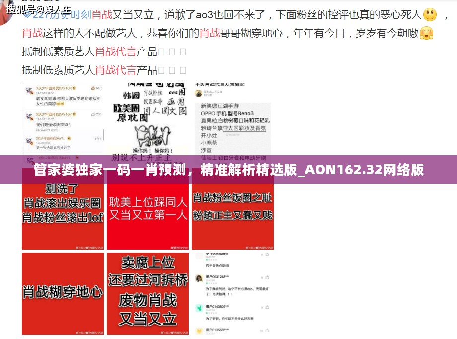 管家婆独家一码一肖预测，精准解析精选版_AON162.32网络版