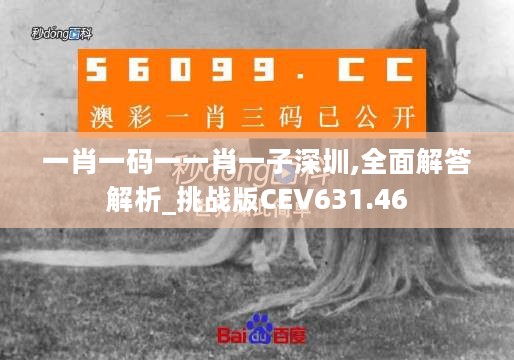 一肖一码一一肖一子深圳,全面解答解析_挑战版CEV631.46