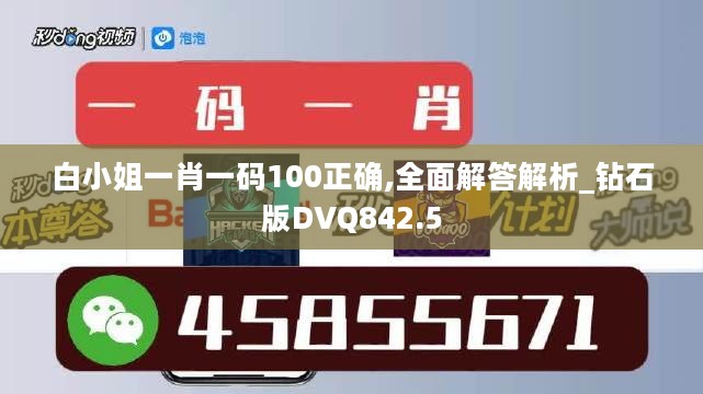 白小姐一肖一码100正确,全面解答解析_钻石版DVQ842.5