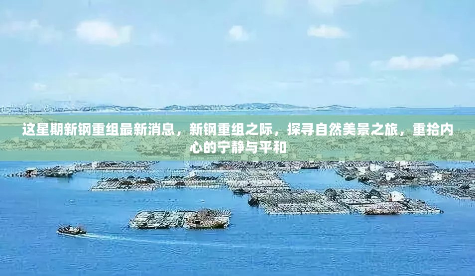 新钢重组之际的心灵之旅，探寻自然美景，重拾宁静与平和