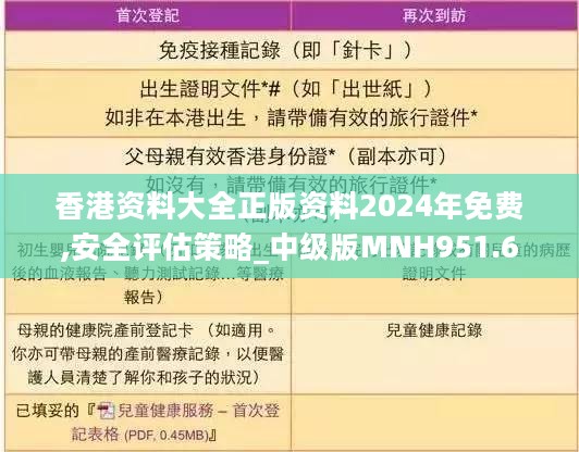 香港资料大全正版资料2024年免费,安全评估策略_中级版MNH951.6