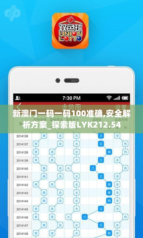 新澳门一码一码100准确,安全解析方案_探索版LYK212.54