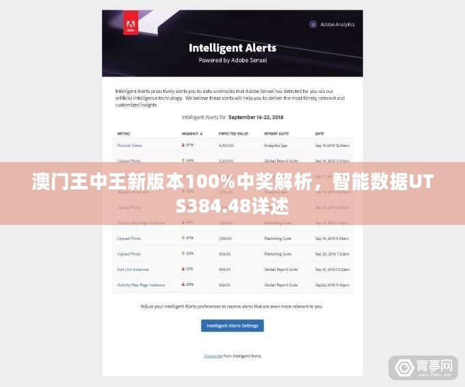澳门王中王新版本100%中奖解析，智能数据UTS384.48详述