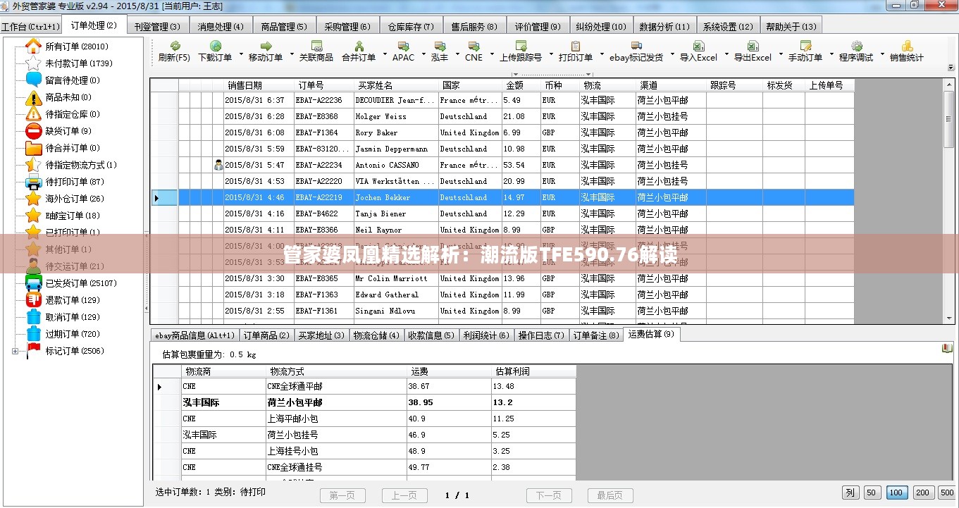 管家婆凤凰精选解析：潮流版TFE590.76解读