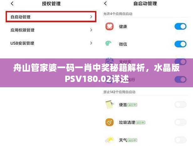 舟山管家婆一码一肖中奖秘籍解析，水晶版PSV180.02详述
