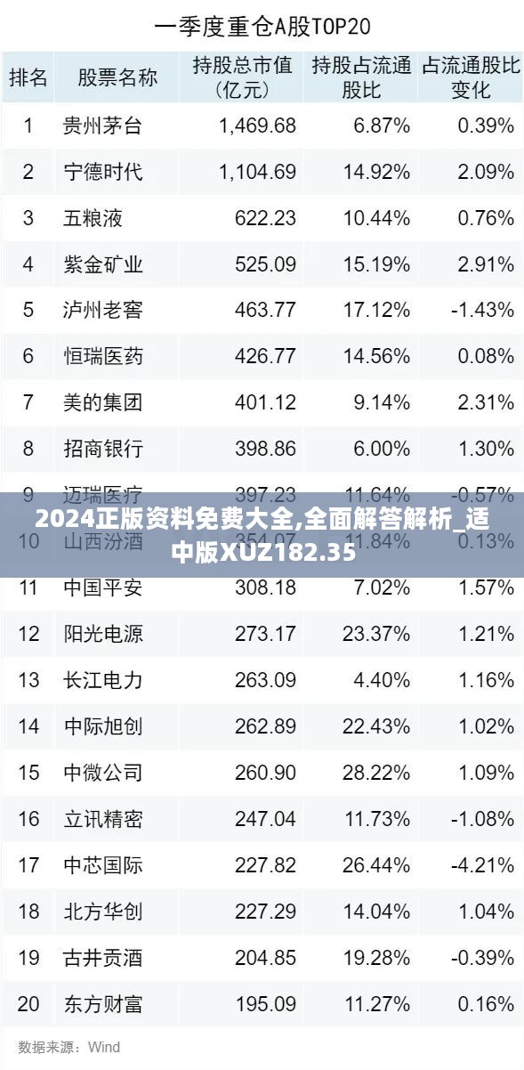 2024正版资料免费大全,全面解答解析_适中版XUZ182.35