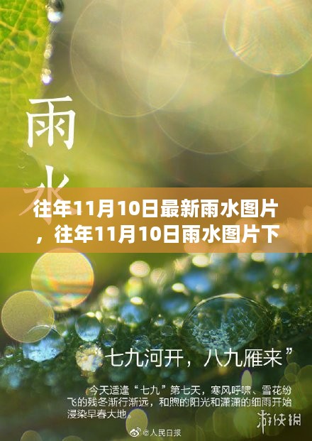 往年11月10日雨水图片，自然与人文的交融思考