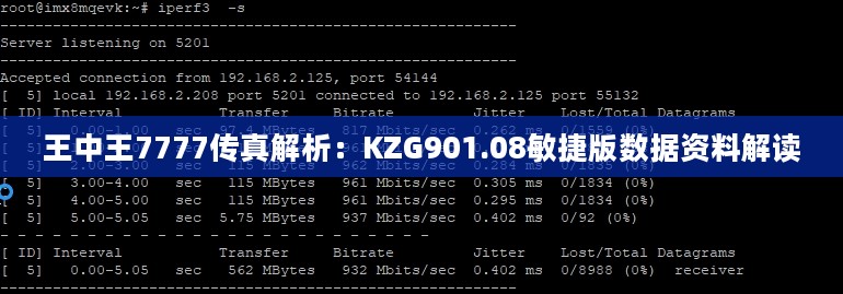 王中王7777传真解析：KZG901.08敏捷版数据资料解读