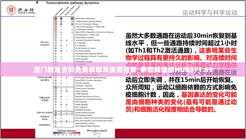 森久 第43页