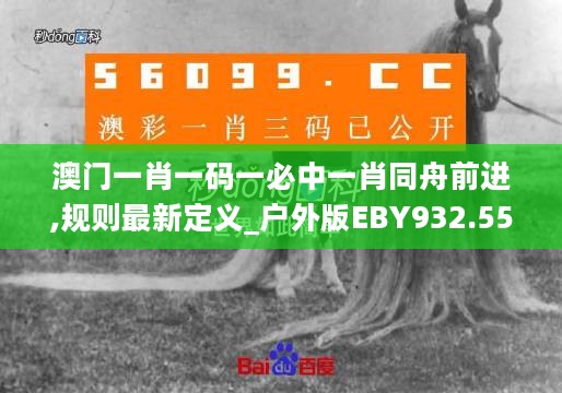 澳门一肖一码一必中一肖同舟前进,规则最新定义_户外版EBY932.55