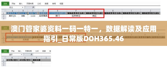 澳门管家婆资料一码一特一，数据解读及应用指引_日常版DOH365.46