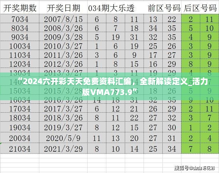 “2024六开彩天天免费资料汇编，全新解读定义_活力版VMA773.9”