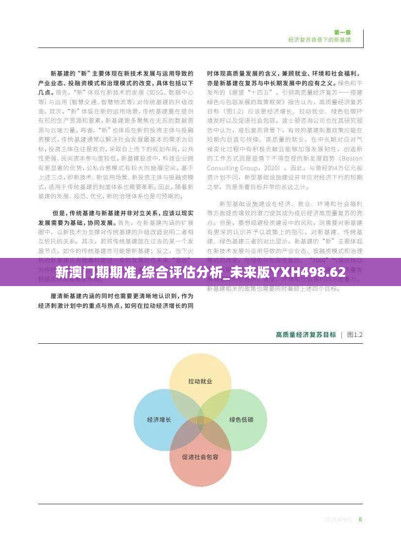 新澳门期期准,综合评估分析_未来版YXH498.62