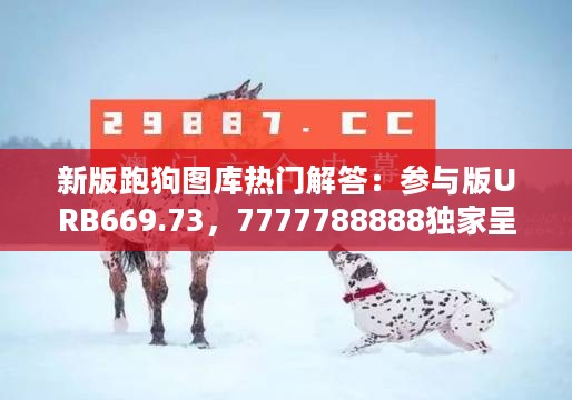 新版跑狗图库热门解答：参与版URB669.73，7777788888独家呈现