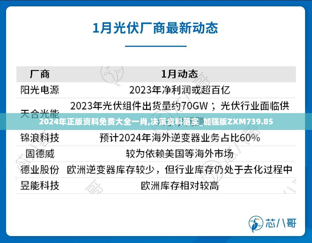 2024年正版资料免费大全一肖,决策资料落实_加强版ZXM739.85