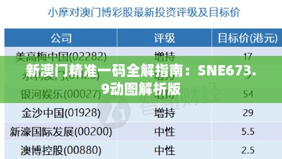 新澳门精准一码全解指南：SNE673.9动图解析版