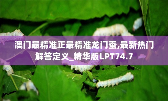 澳门最精准正最精准龙门蚕,最新热门解答定义_精华版LPT74.7