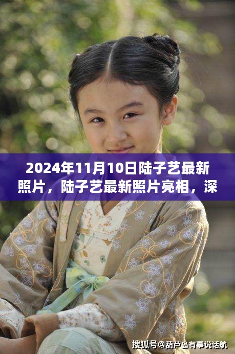 陆子艺最新照片亮相，深度解析与用户体验分享（2024年11月10日）