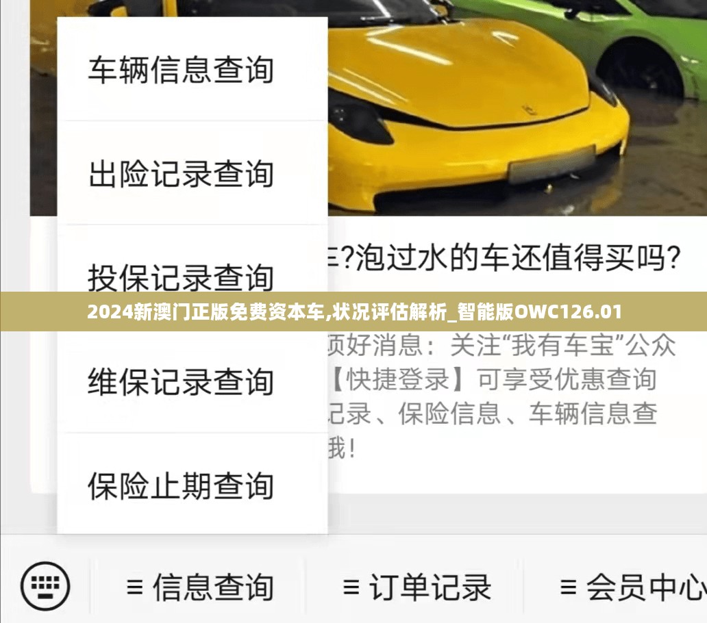 2024新澳门正版免费资本车,状况评估解析_智能版OWC126.01