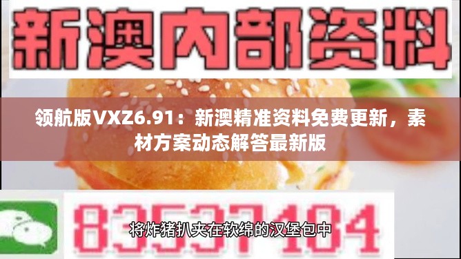 领航版VXZ6.91：新澳精准资料免费更新，素材方案动态解答最新版