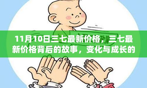 11月10日三七最新价格，探寻价格背后的故事，见证成长的力量与自信成就