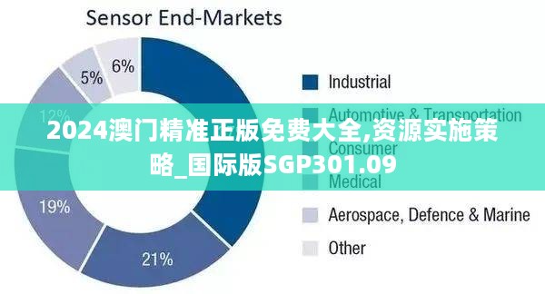 2024澳门精准正版免费大全,资源实施策略_国际版SGP301.09