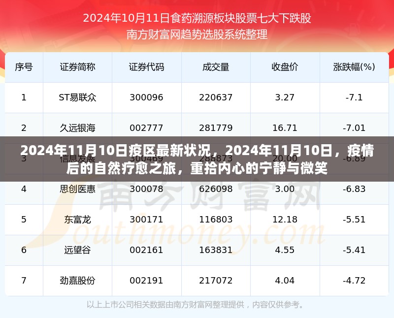 2024年11月10日疫情后的自然疗愈之旅，最新疫区状况与内心宁静的回归