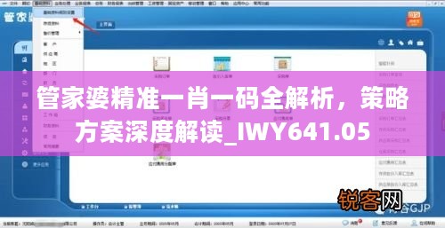 管家婆精准一肖一码全解析，策略方案深度解读_IWY641.05