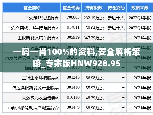 一码一肖100%的资料,安全解析策略_专家版HNW928.95