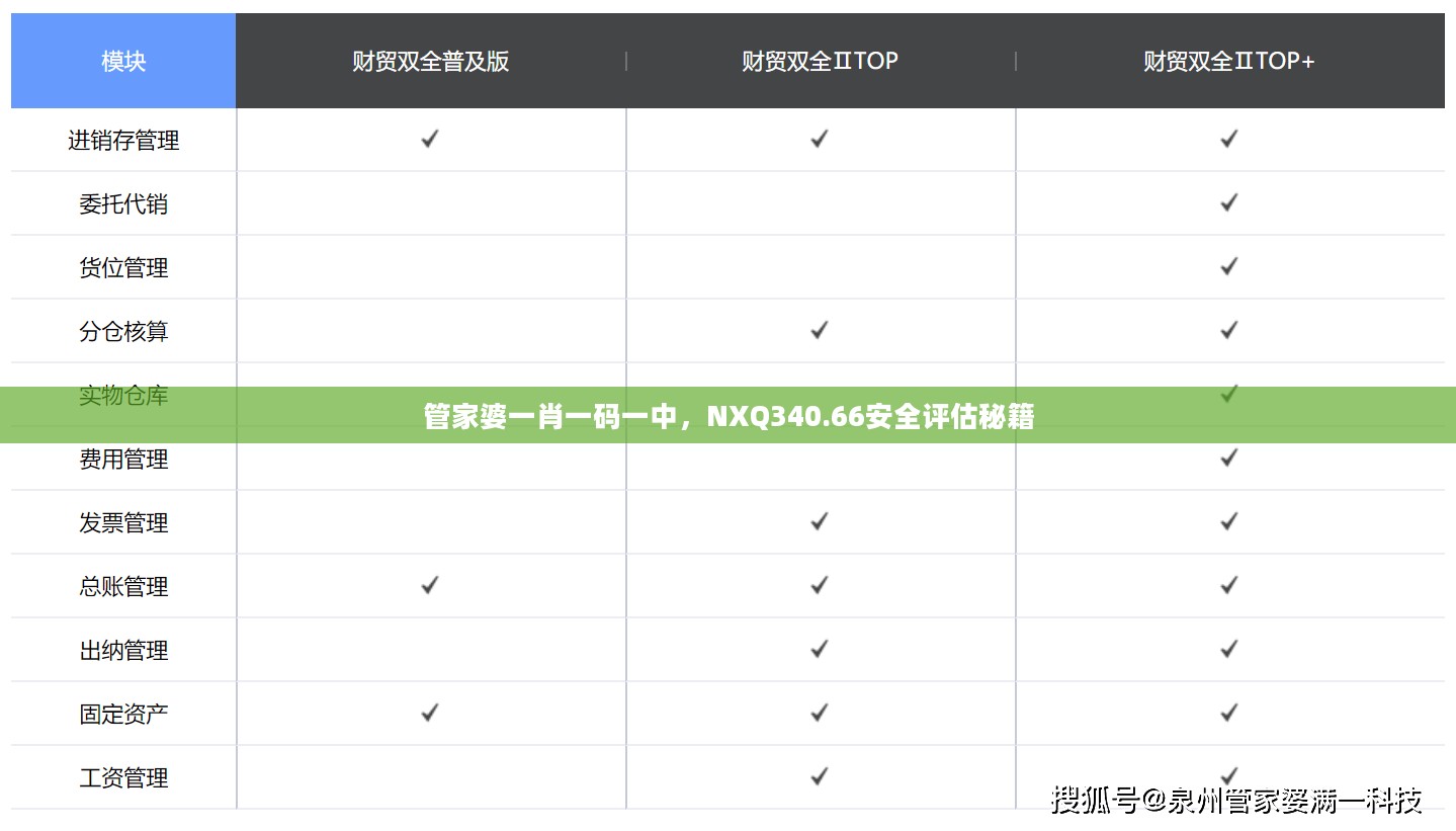 管家婆一肖一码一中，NXQ340.66安全评估秘籍