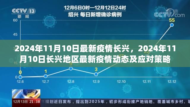 2024年11月10日长兴地区最新疫情动态与应对策略