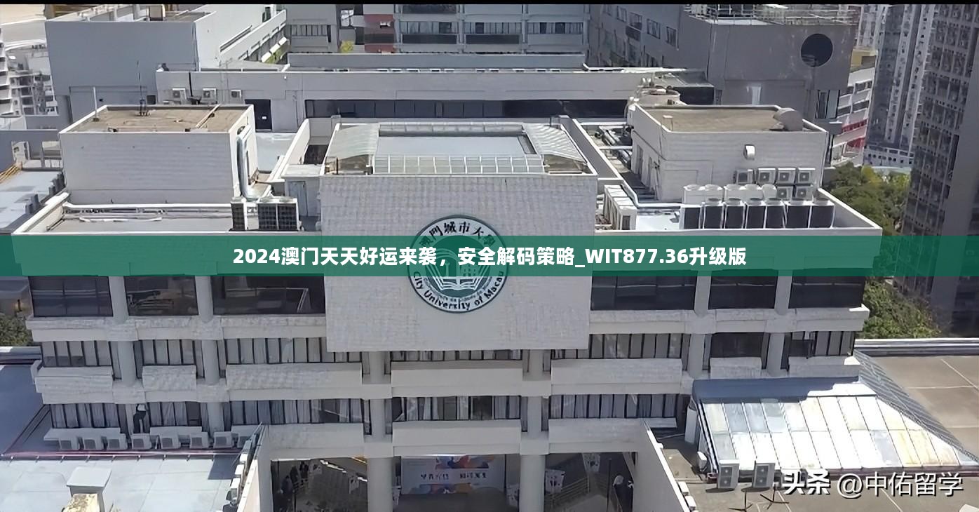 2024澳门天天好运来袭，安全解码策略_WIT877.36升级版