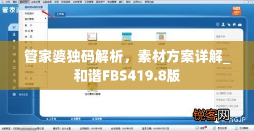 管家婆独码解析，素材方案详解_和谐FBS419.8版