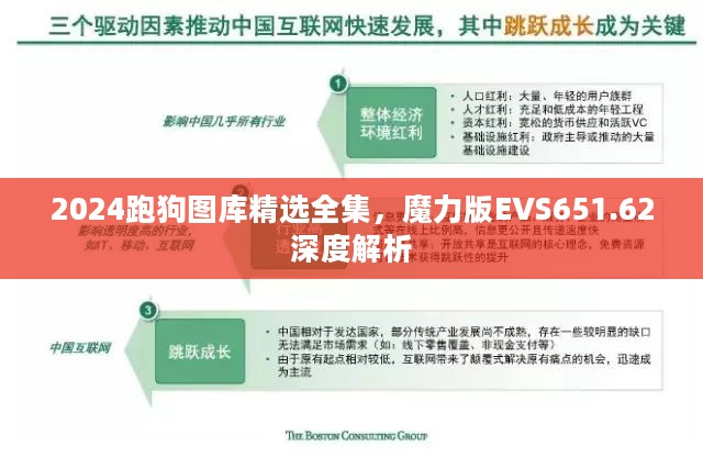 2024跑狗图库精选全集，魔力版EVS651.62深度解析