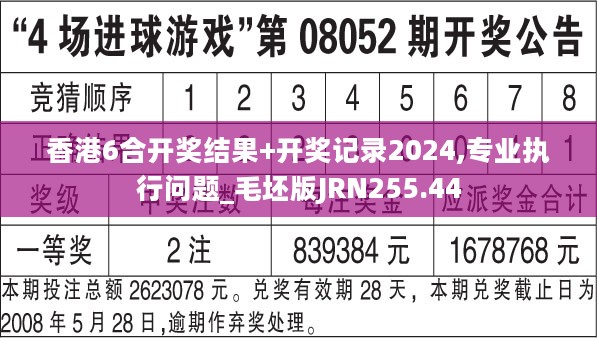 香港6合开奖结果+开奖记录2024,专业执行问题_毛坯版JRN255.44