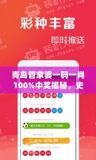 青岛管家婆一码一肖100%中奖揭秘，史诗版RYT401.17综合解析