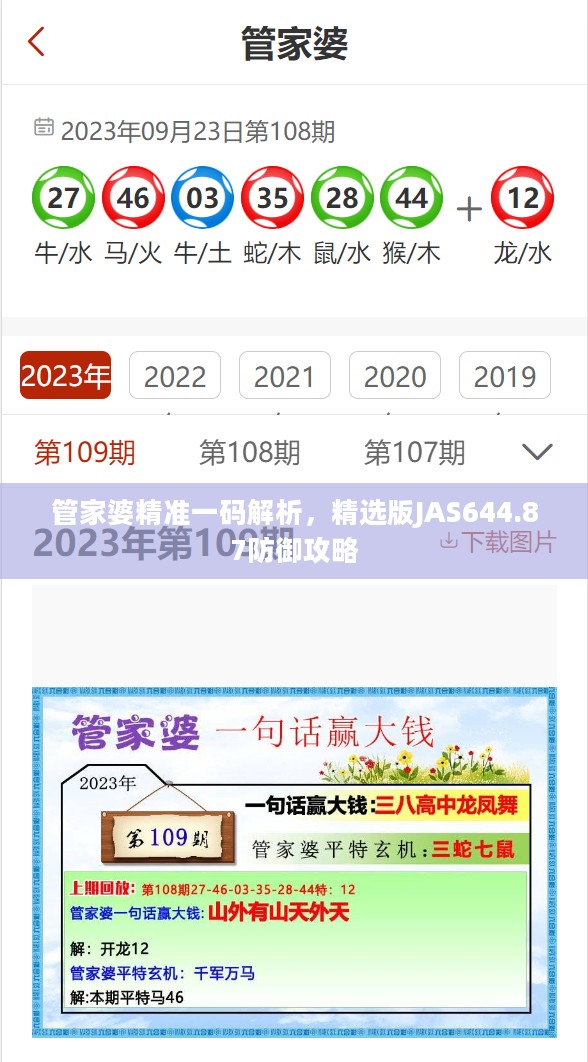 管家婆精准一码解析，精选版JAS644.87防御攻略