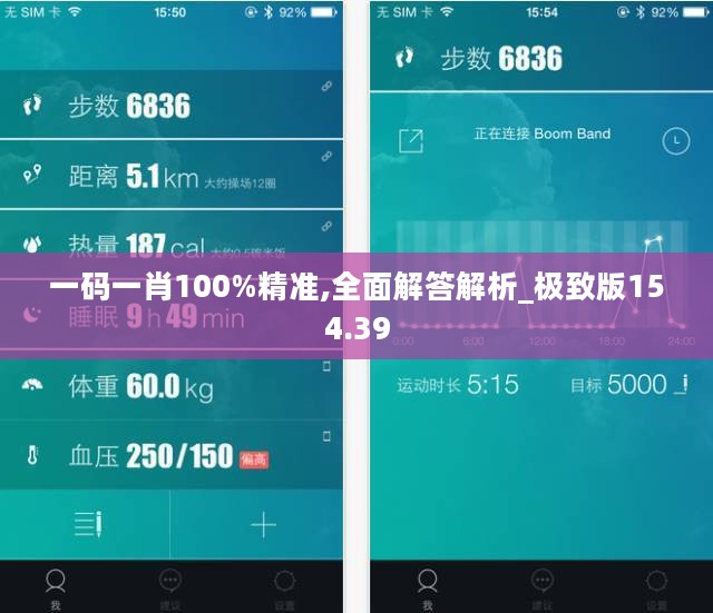 一码一肖100%精准,全面解答解析_极致版154.39