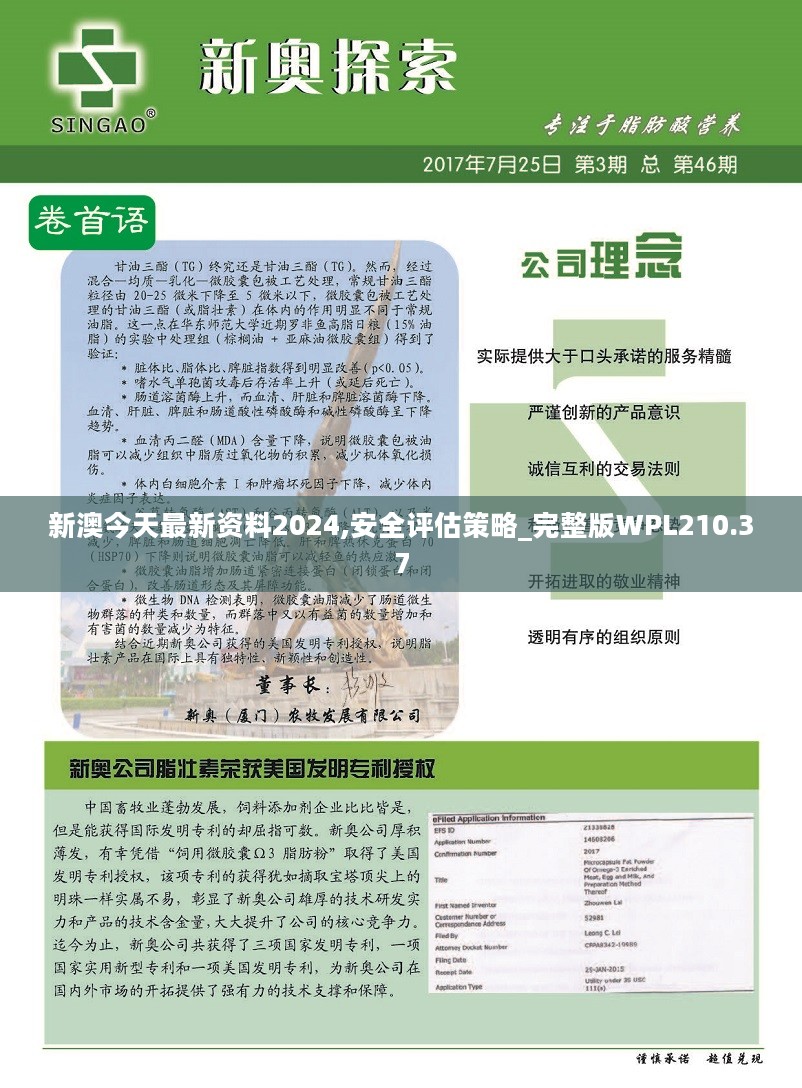 新澳今天最新资料2024,安全评估策略_完整版WPL210.37