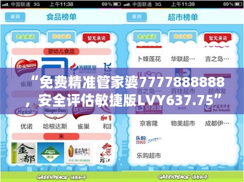 “免费精准管家婆7777888888，安全评估敏捷版LVY637.75”