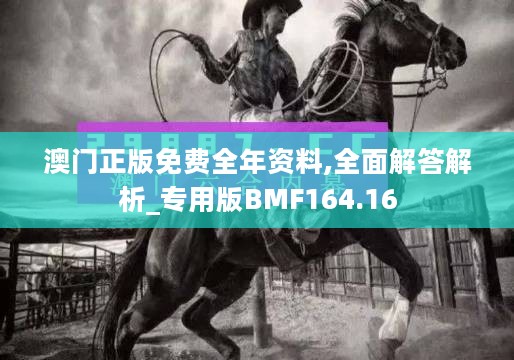 澳门正版免费全年资料,全面解答解析_专用版BMF164.16