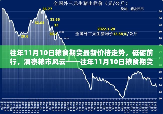 往年11月10日粮食期货价格走势解析，洞悉粮市风云