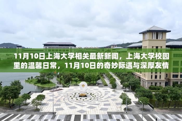 上海大学校园温馨日常，11月10日的奇妙际遇与深厚友情报道