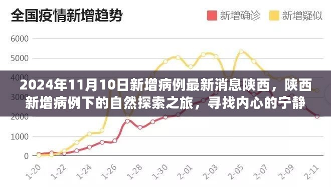 陕西新增病例下的自然探索之旅，寻找内心的宁静绿洲（最新消息）