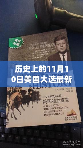 历史上的11月10日美国大选深度解析，探寻内心宁静之旅与大自然的舞蹈