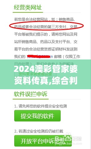 2024澳彩管家婆资料传真,综合判断解析解答_史诗版335.1