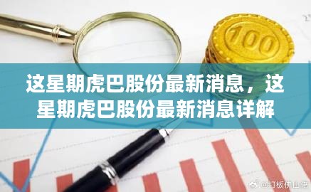 虎巴股份最新消息详解，掌握关键信息的一周回顾